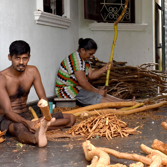 Excursion Cover Image