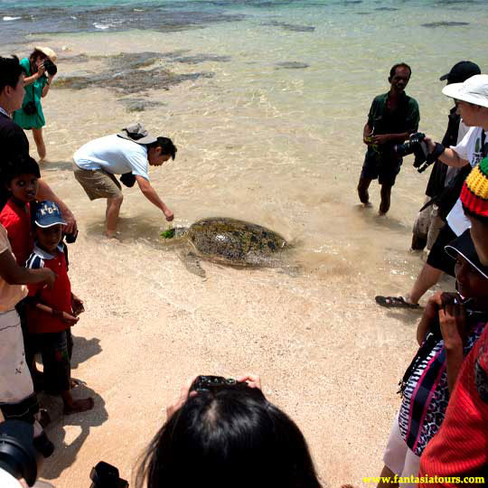 Excursion Cover Image