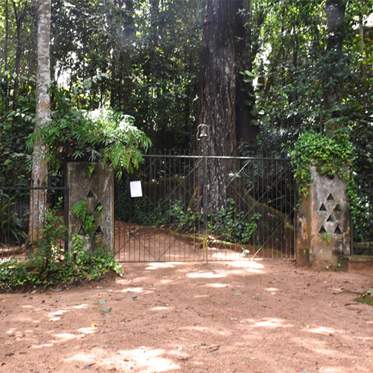 Excursion Cover Image