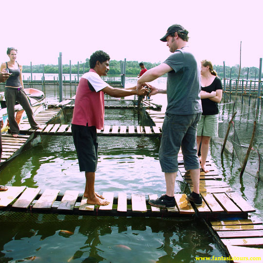 Excursion Cover Image