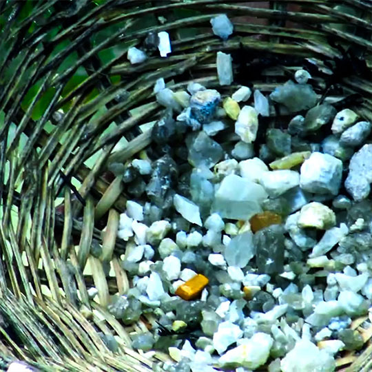 Excursion Cover Image